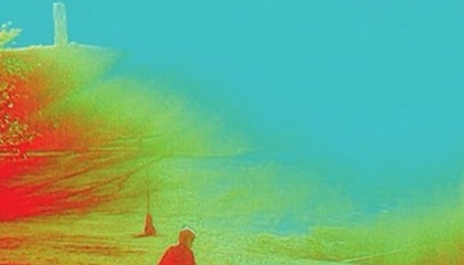 The Flaming Lips – The Terror