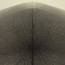 Junior Boys – It’s All True