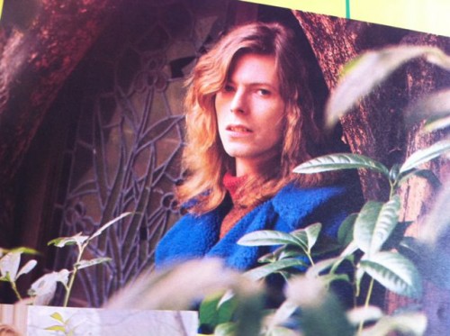 Bowie