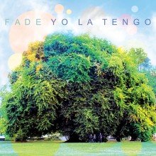 yolatengo-fade