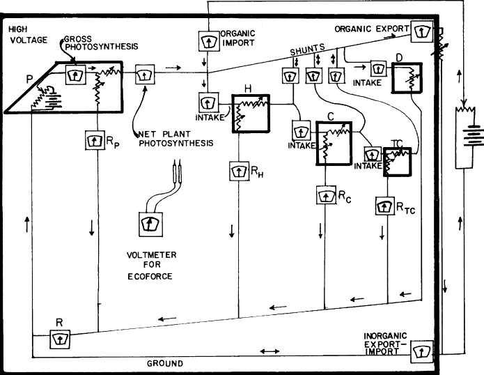 1-s2.0-S0304380003005209-gr2