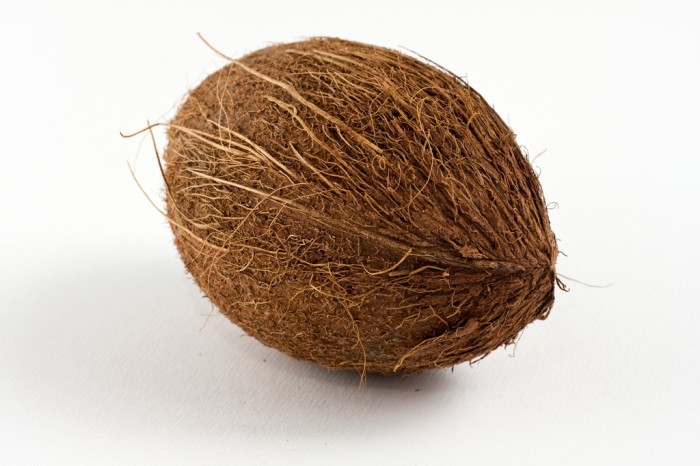 Oval shaped brown coconut