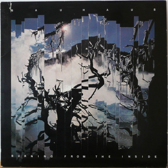 Bauhaus5