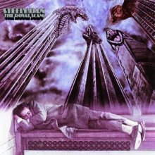 SteelyDan5