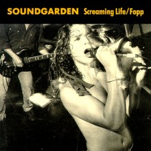 fopp