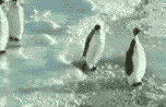 FM_penguinslap