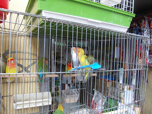 SAMSUNG DIGITAL CAMERA