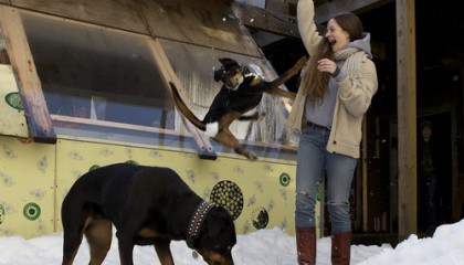 Small talk: vieraana Meg Baird