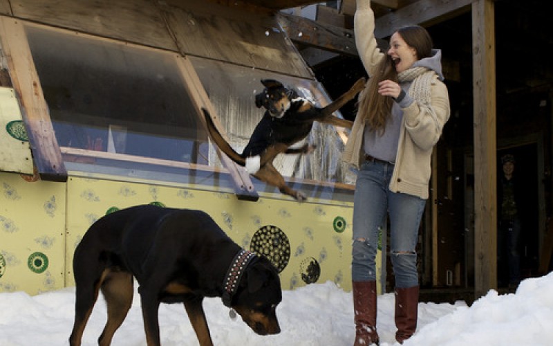 Small talk: vieraana Meg Baird