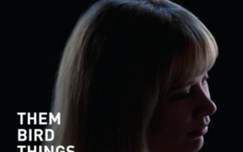 Tammikuu 2013 – Them Bird Things: Pachyderm Nightmares