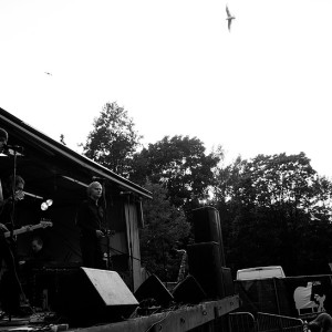 #87 Damn Seagulls – Human Torch (2006)