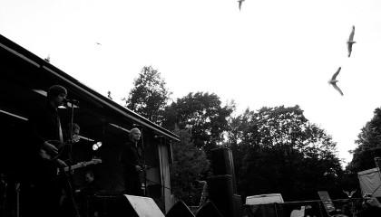 #87 Damn Seagulls – Human Torch (2006)