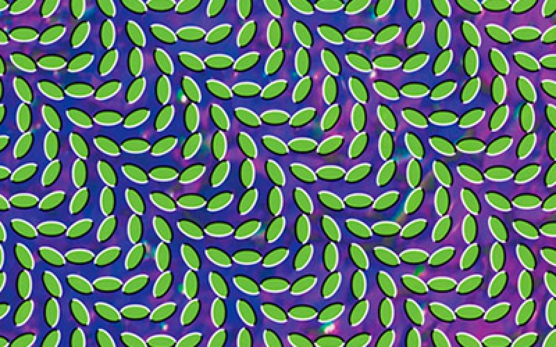#36 Animal Collective – My Girls (2009)