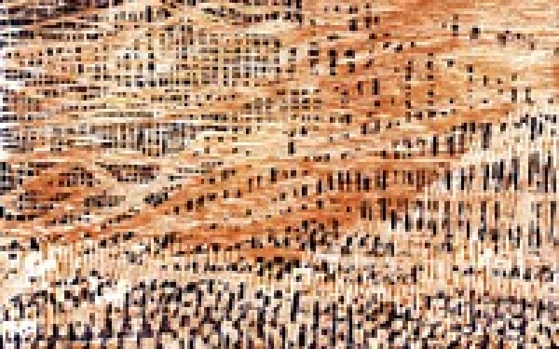 Barry Andrewsin Disko – Kuka siellä?