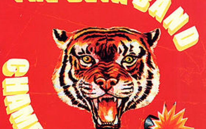 #10 The Beta Band – Dry The Rain