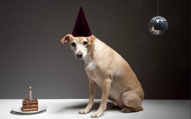 Nuorgamin maailman paras soittolista