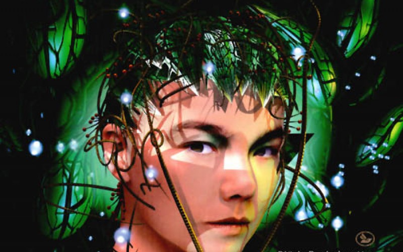 #18 Björk – Bachelorette