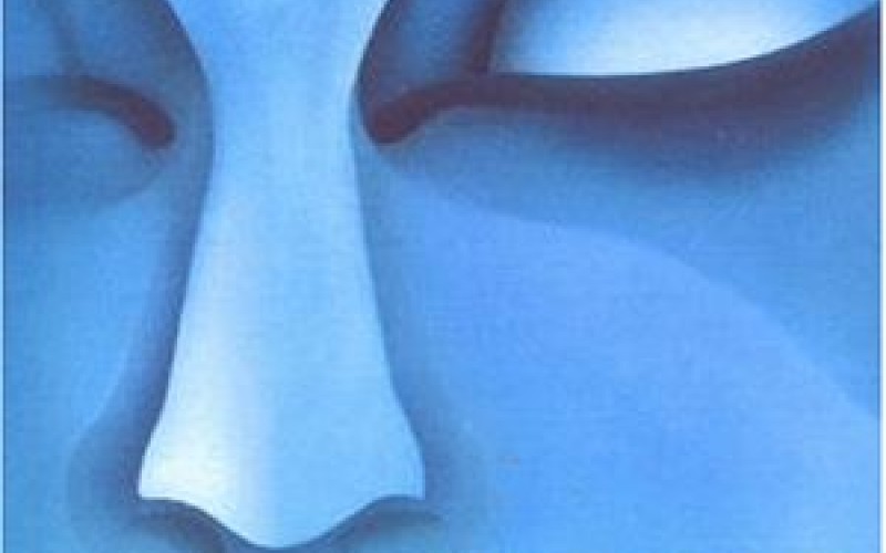 #6 Blue Boy – Remember Me