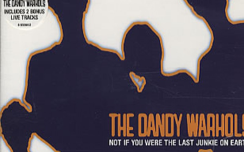 #29 The Dandy Warhols – Not If You Were the Last Junkie on Earth