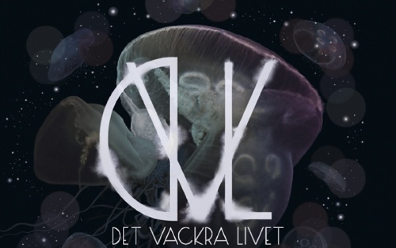 Det vackra livet – Det vackra livet