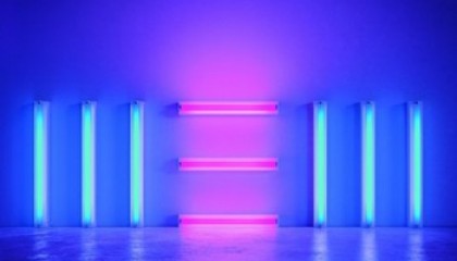 Paul McCartney – New