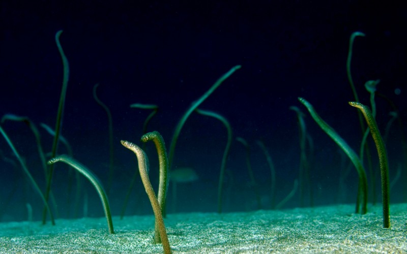 Nuorgam lähtee uimaan – 40 kappaletta räpiköinnistä