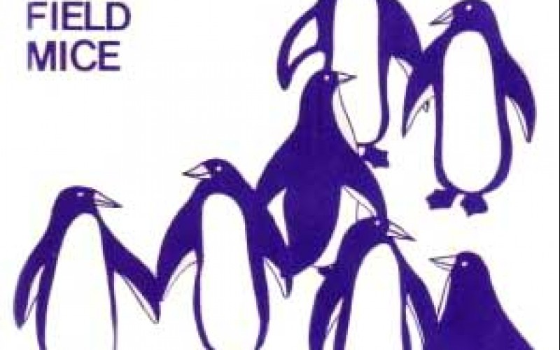 #28 The Field Mice – Sensitive