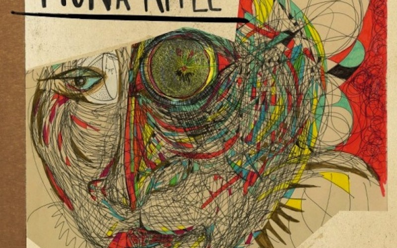 Fiona Apple – The Idler Wheel...