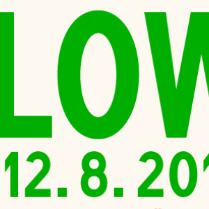 Flow 2012 Top 40!
