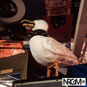 Giffaa hei! #400: Wöyh!