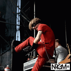 Giffaa hei! #106: bob hund