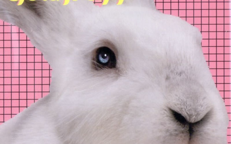 #7 Goldfrapp – Utopia