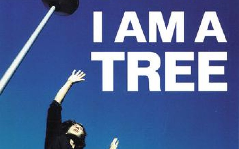 #25 Guided By Voices – I Am a Tree
