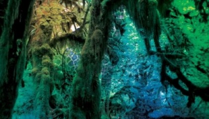 Minikritiikit, viikko 11: Devendra Banhart, Mogwai, Sally Shapiro…