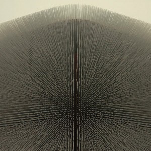 Junior Boys - It's All True