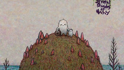 J Mascis – Several Shades of Why