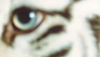 #40 Kent – Dom andra (2002)