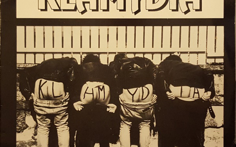 Perseeseen, perseeseen, perseeseen – 10 anaaliviittauksen sisältävää kappaletta Klamydian tuotannossa