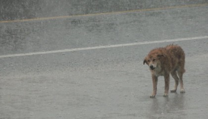 Rypemisen ytimessä by Juuso Janhunen