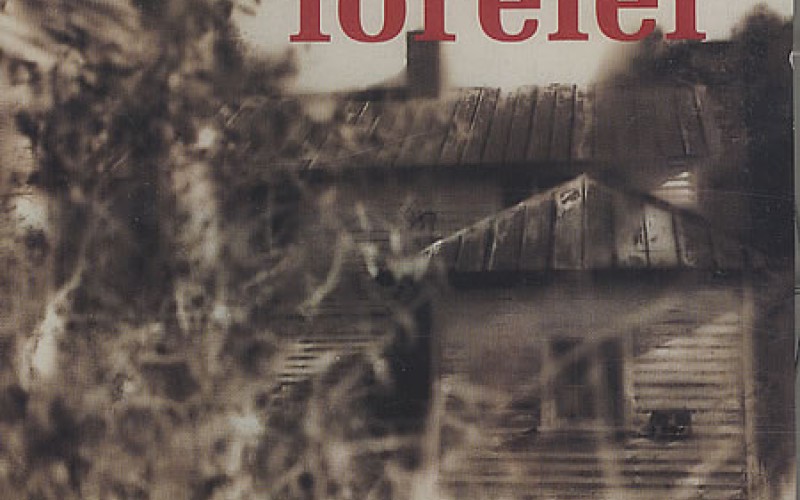 Unohdetut indierock-klassikot 1992–2001, osa 4