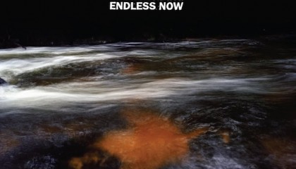 Male Bonding – Endless Now (Sub Pop)