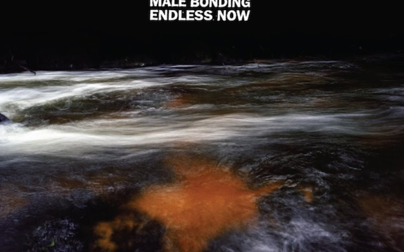 Male Bonding – Endless Now (Sub Pop)