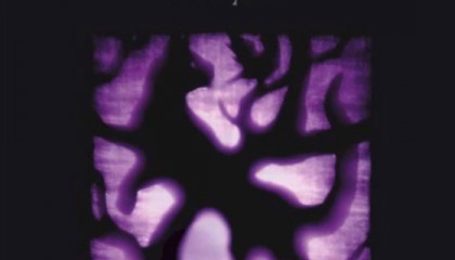 Mazzy Star – Seasons of Your Day