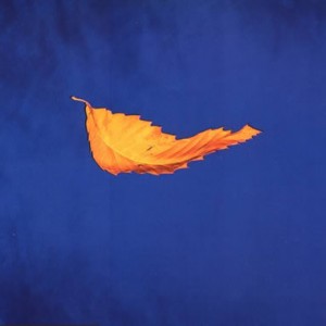 #4 New Order – True Faith