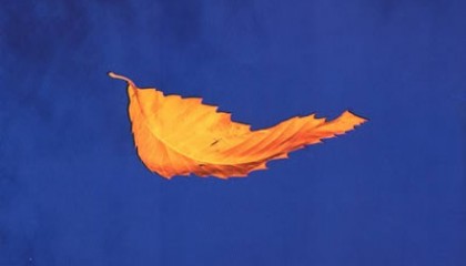 #4 New Order – True Faith