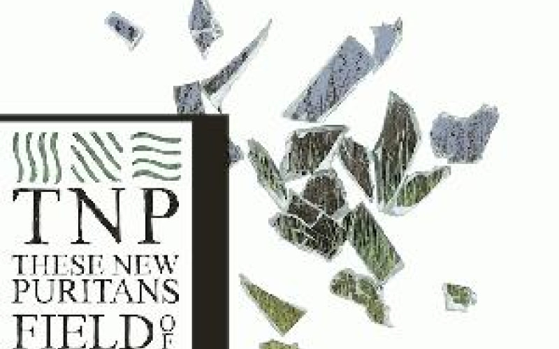 These New Puritans – Field of Reeds