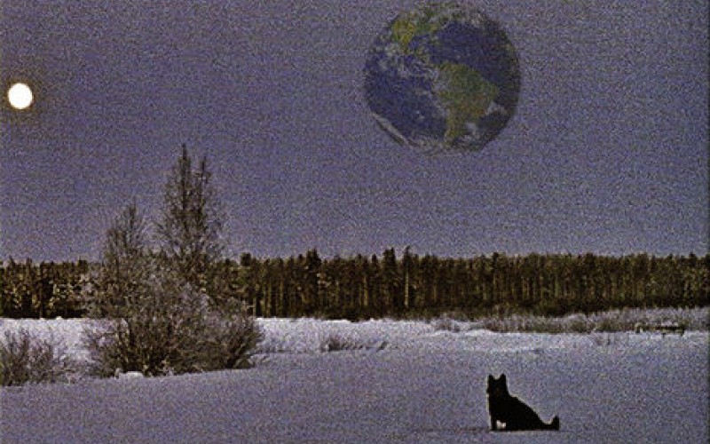 Radiopuhelimet – Ei kenenkään maa
