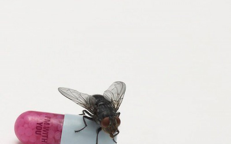 Red Hot Chili Peppers – I’m With You