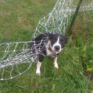 Verkkoaita hiphopin kuvastossa – kymmenen teräksistä räppivideota