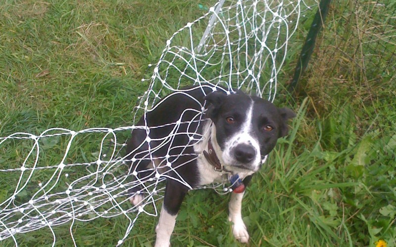 Verkkoaita hiphopin kuvastossa – kymmenen teräksistä räppivideota